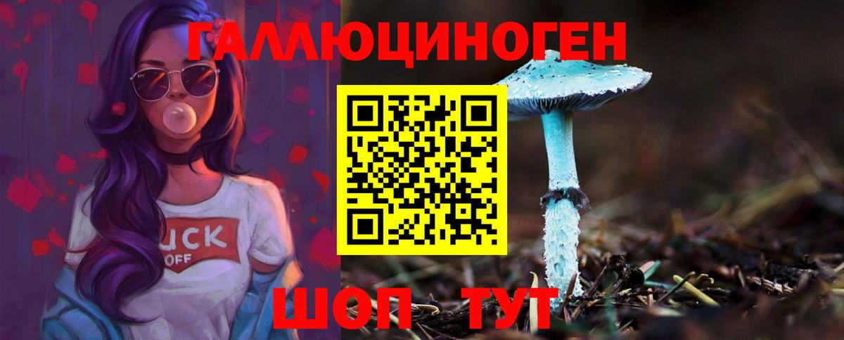 купить наркоту  Вход с VPN  Псилоцибиновые грибы Psilocybine cubensis  Кимры  Галлюциногенные грибы ЛСД 